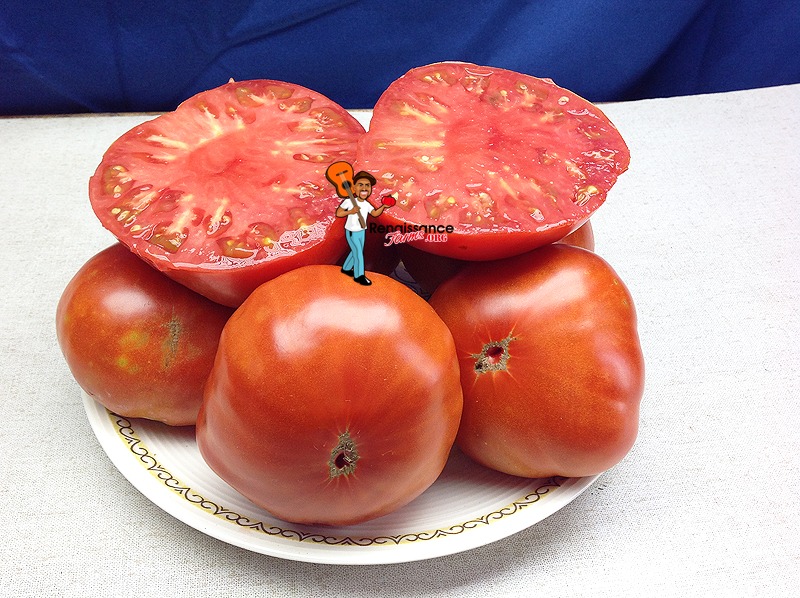 Tomato - German Baptist Heirloom Slicer – Starfish Honey