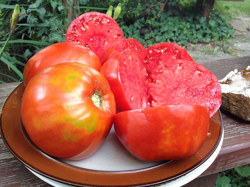 The Best Heirloom Tomatoes On The Planet Find Them Here!