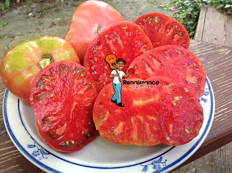 The Best Heirloom Tomatoes On The Planet Find Them Here!