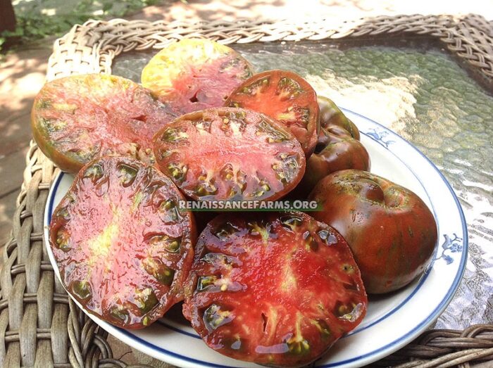 Chocolate Stripes Tomato Renaissance Farms Heirloom Tomato Seeds