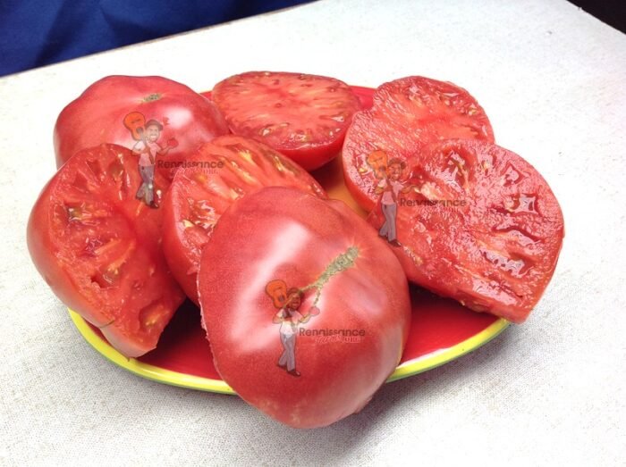 Rosella crimson Dwarf Tomato