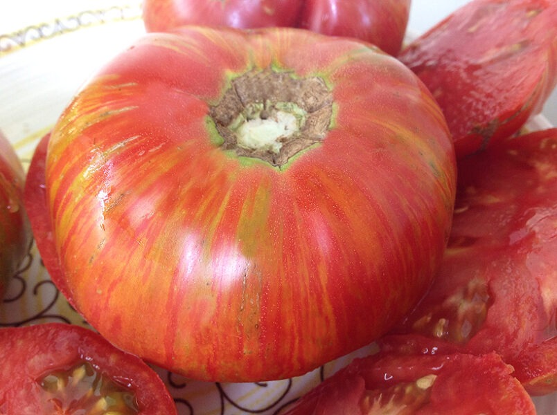 Dwarf Firebird Sweet Tomato - Renaissance Farms Heirloom Tomato Seeds