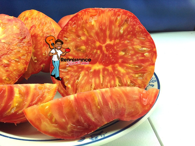 thumbnail image 2 of 25+ Hillbilly Tomato Seeds- Large, Beefsteak Tomatoes Feature 2 of 14