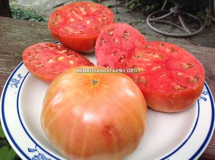 Italian Giant Beefsteak Tomato
