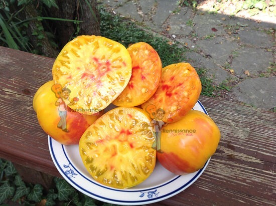 Pineapple Tomato Seeds For Sale Beautiful And Delicious