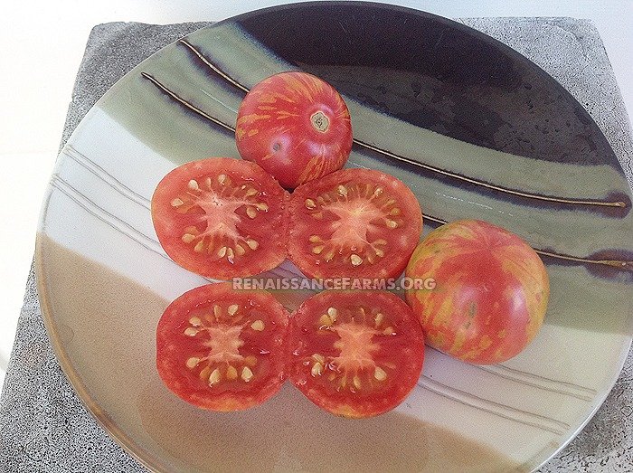 vernissage tomato