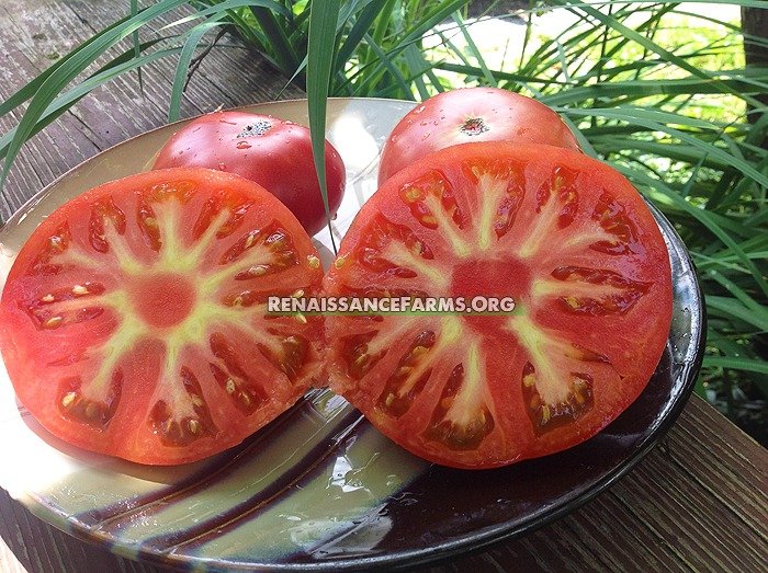 Royal Hillbilly Tomatoes Taste