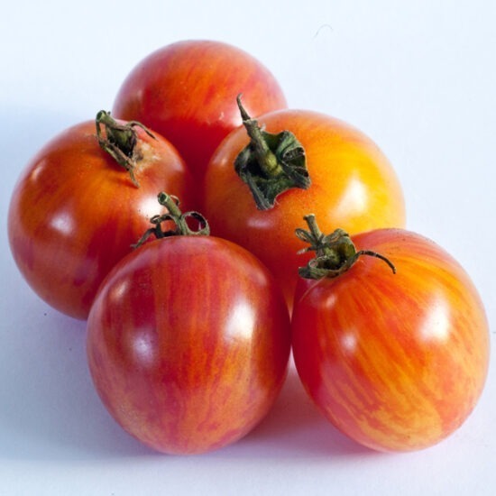 Sunrise Bumblebee HEIRLOOM Tomato Seeds – 20 Seeds, Free Shipping
