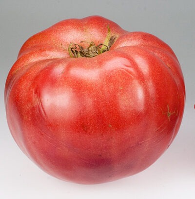 Crnkovic Yugoslavian Tomato - Renaissance Farms Heirloom Tomato Seeds