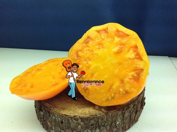 Amana Orange Tomato Picture