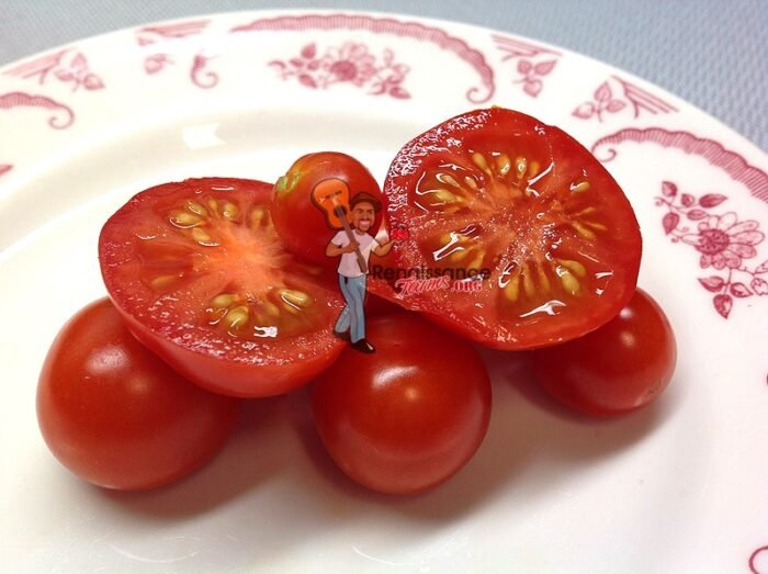 Andrina Tomatoes