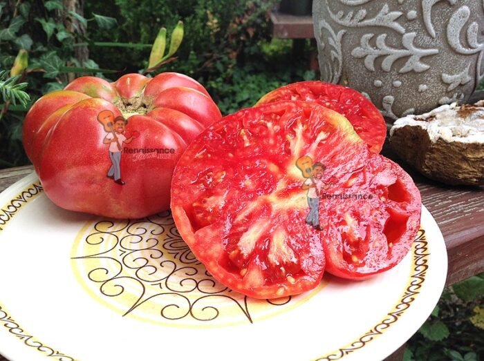 Ispolin Tomatoes