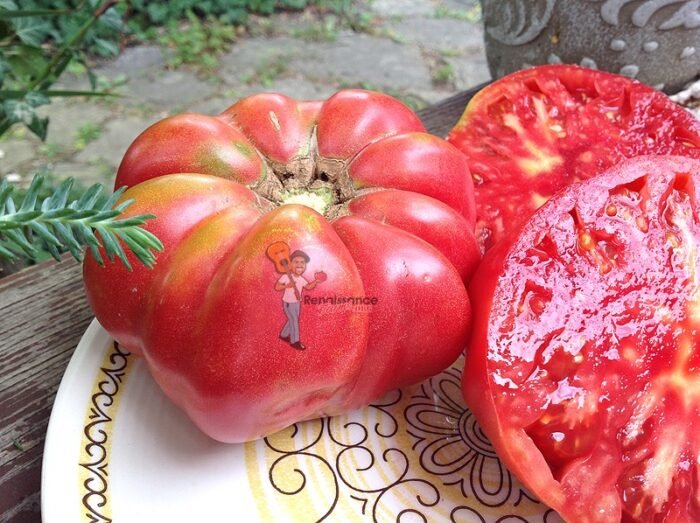 Ispolin Tomato Slice