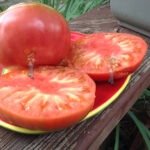 Kansas Depression Tomato 2017