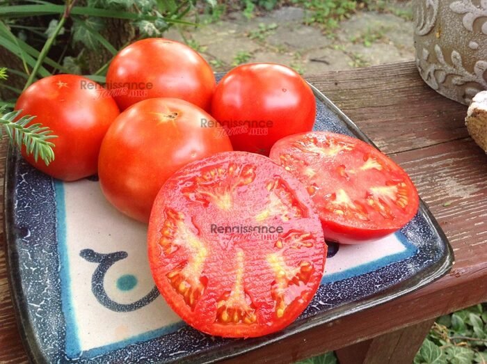 Mendoza 44 Tomato