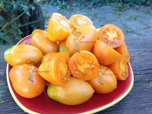 Caprese Renaissance Orange Caprese Tomato - Renaissance Farms Heirloom Tomato Seeds