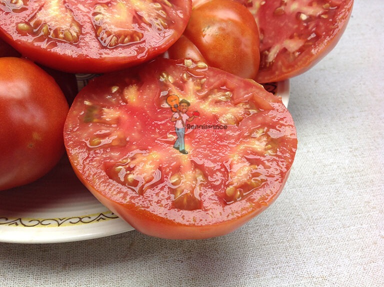 Ponderosa Beefsteak Tomato Renaissance Farms Heirloom Tomato Seeds