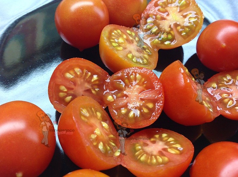 Tomato - Renaissance Farms Tomato Heirloom Seeds Reisentraube