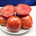 Shimblenk Heirloom Tomato