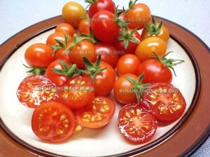 Vilma Micro Dwarf Tomato