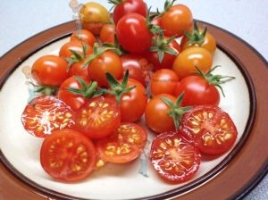 Vilma Micro Dwarf Tomato 2018