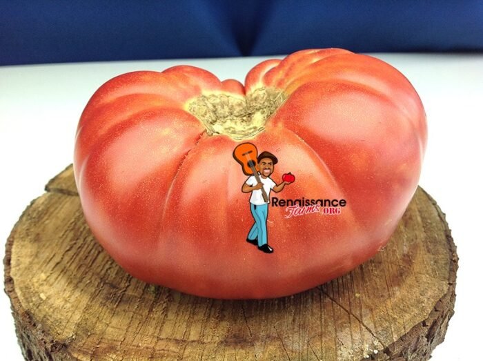 Anna's Kentucky Tomato