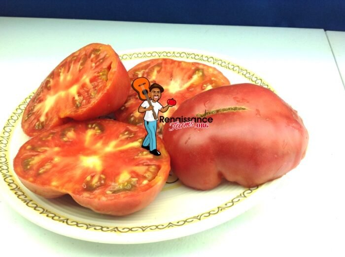 Anna's Kentucky Tomatoes