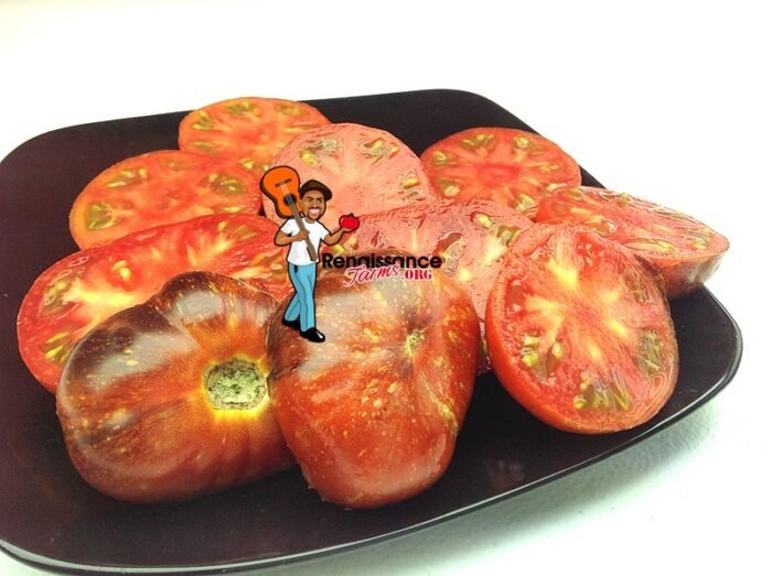 Blue Fire Heirloom Tomato