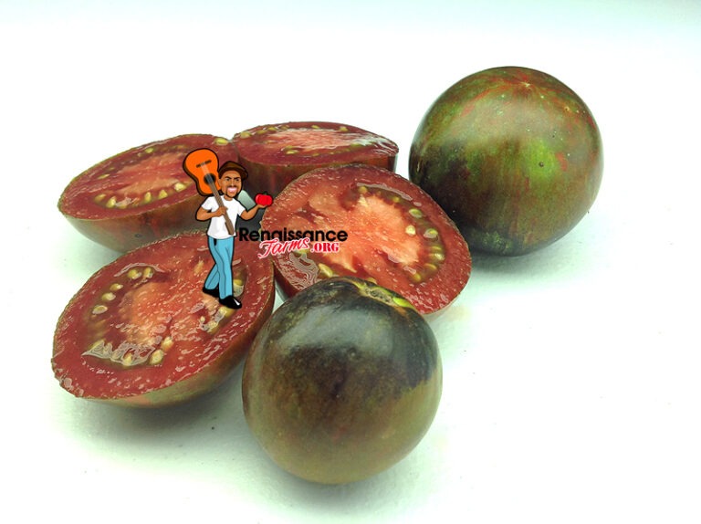 Cosmic Eclipse Tomato Seeds For Sale At Renaissance Farms Cosmic eclipse tomato seeds for sale at renaissance farms