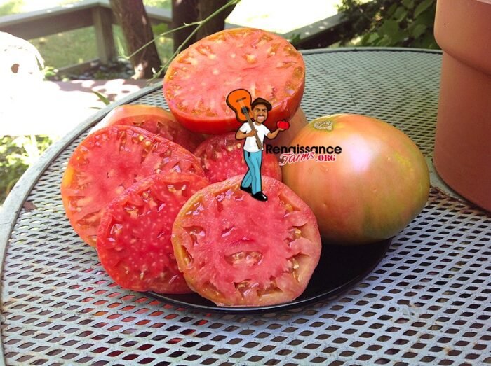 Fatima Tomatoes