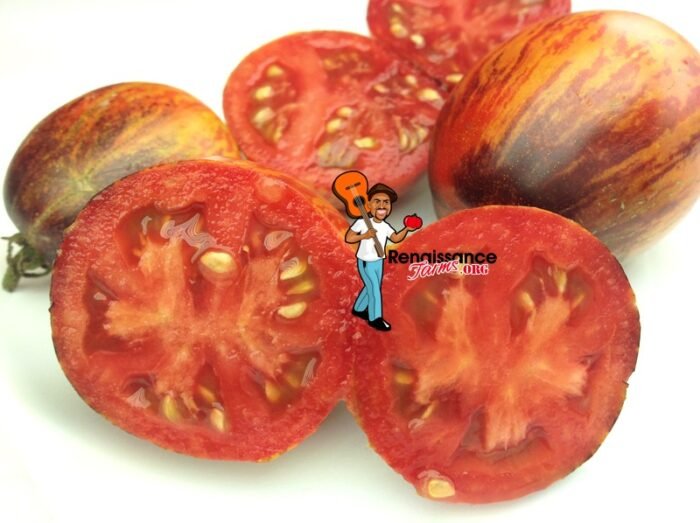 Gargamel Tomato Seeds