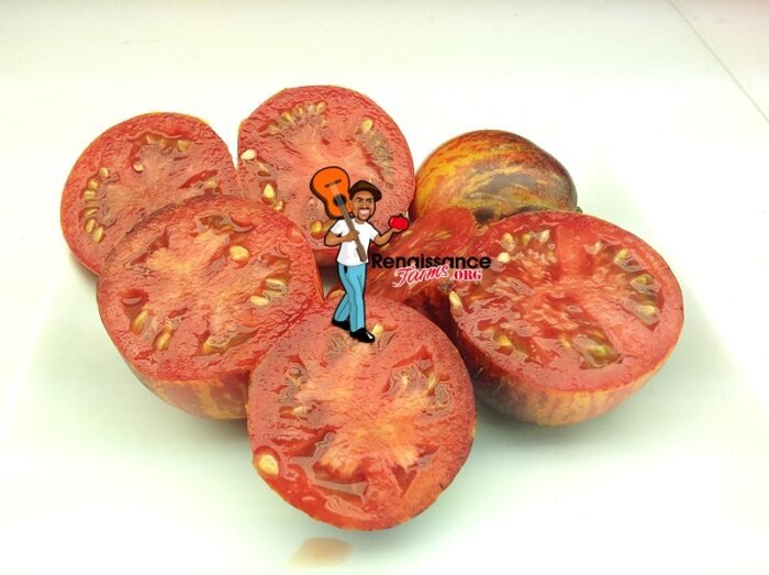 Gargamel Tomatoes