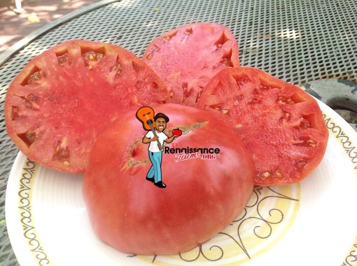 Giant Belgium Pink Tomato