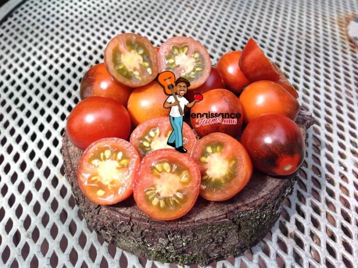 Jackie-Tomato
