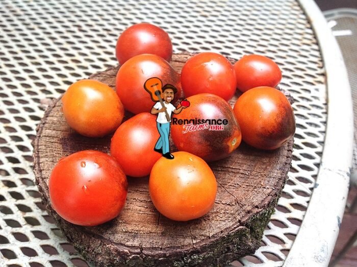 Jackie Tomatoes
