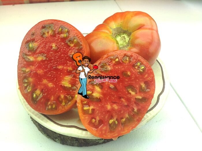 Khlebosolyne Tomato Image