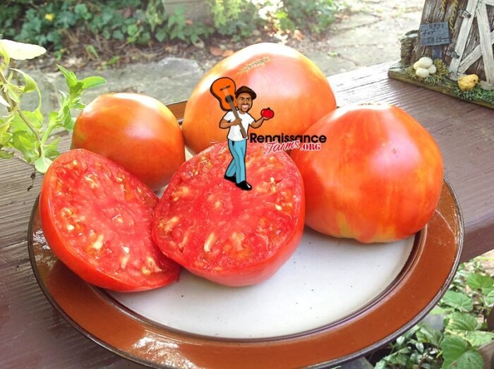 King Kong Oxheart Tomato