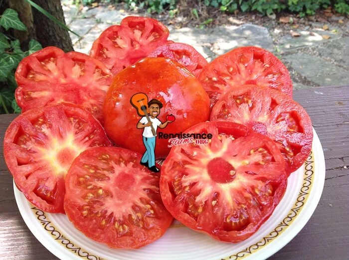 Marylin's-Best-Tomato