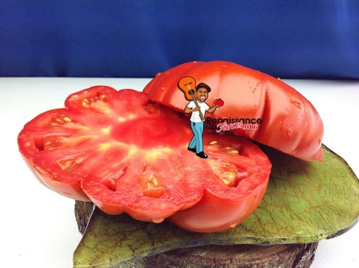 Marylin's Best Tomato
