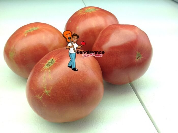 Rose Heirloom Tomato