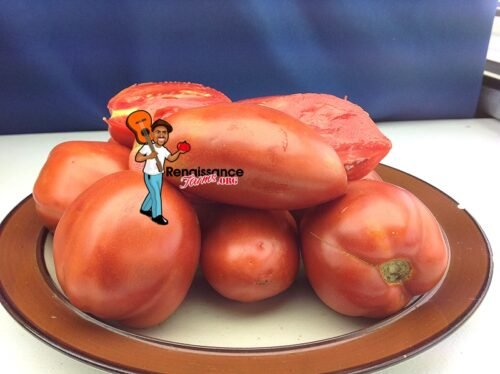 jersey devil tomato