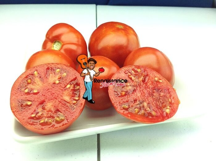 Bejing-Zao-Shu-Tomatoes