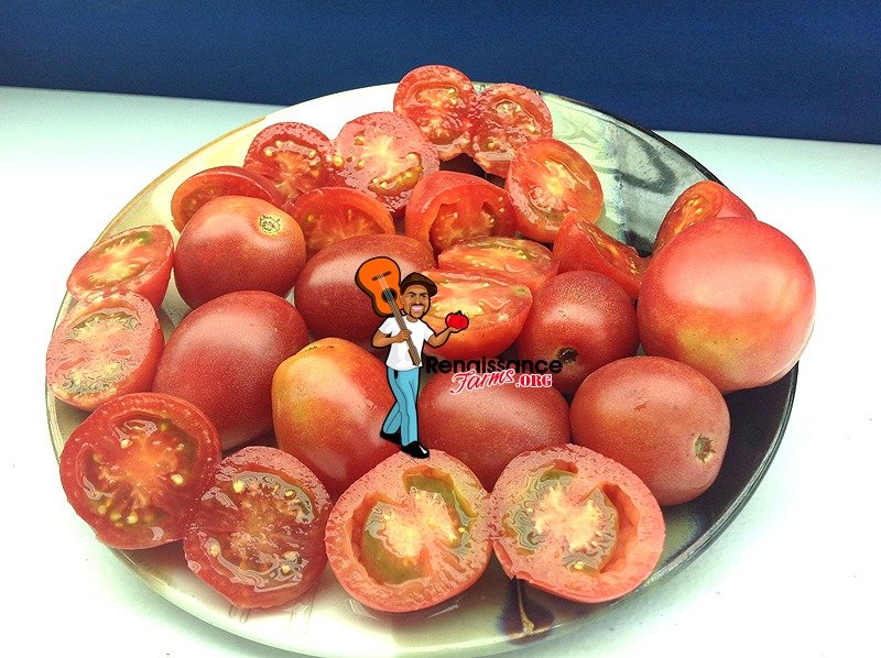 Bendigo Blush Tomato