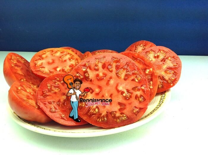 Brimmer Tomato Heirloom