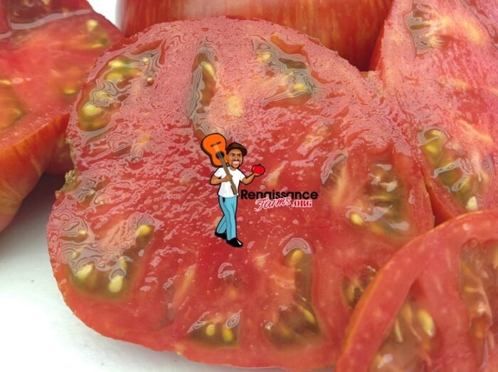 Dwarf Hannah's Prize Tomatoes