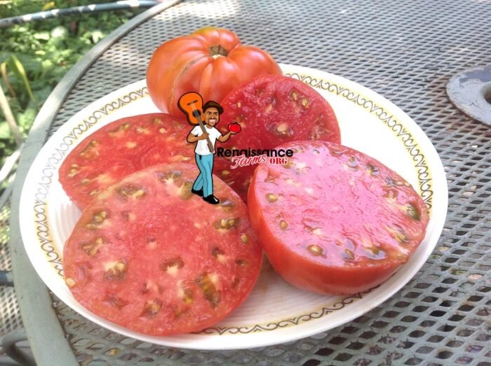 Dwarf-Sweet-Adelaide-Tomato