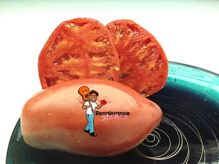 Egyptian Pink Tomato