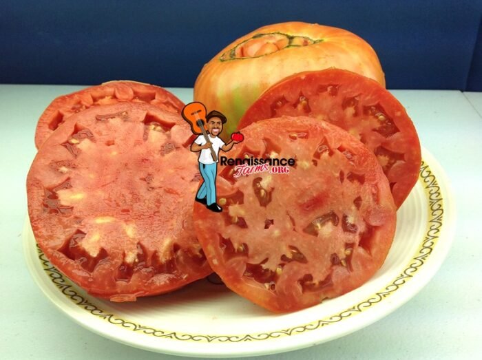 Granny Harriet's Family Heirloom Tomato