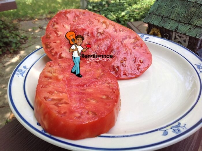Granny Harriet's Heirloom Tomato