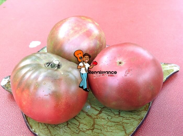 Indische Fleisch Tomato Images